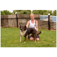 Toby, négy éves, kan #3