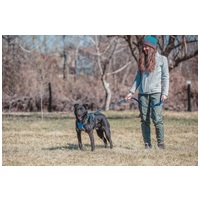 Ábel, 4 éves, 55 cm magas, kan #7