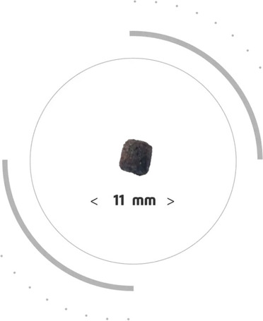 Pro-Nutrition Prestige Adult Mini Light / Sterilised with Pork | Száraztáp | Kistestű ivartalanított kutyáknak