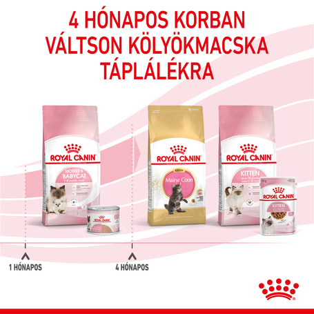 Royal Canin Babycat Instinctive - Kölyök macska pépes nedves táp