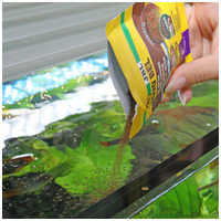 JBL ProNovo Bel Grano süllyedő akváriumi haleledel #5