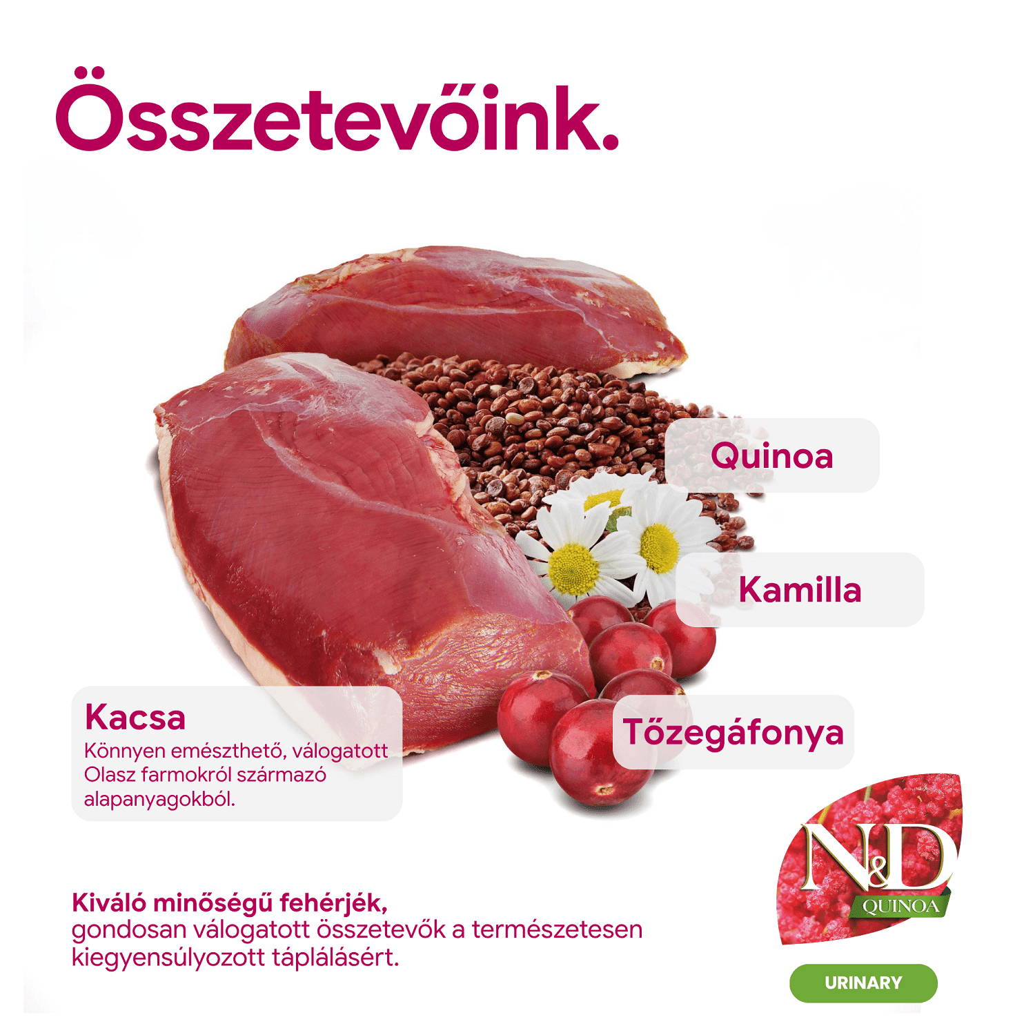 N&D Cat Grain Free Quinoa Urinary Duck – Húgyuti problémákra | Száraztáp macskáknak