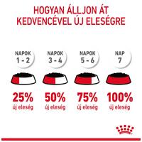 Royal Canin Appetite Control Care - Zselés nedves táp felnőtt macskák részére az étvágy szabályozásának segítésére #6