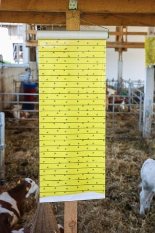 Kerbl légyfogó papírtekercsek istállóba