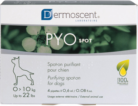 Dermoscent PYOspot kutyáknak