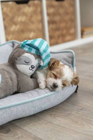 Trixie Junior lajhár szívhanggal kölyökkutyák részére