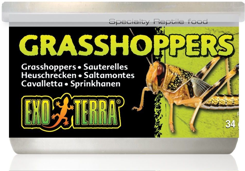 Exo Terra Grasshoppers - Lăcuste fierte moi pentru reptile