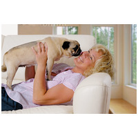 Belcando Finest Light | Túlsúlyos vagy idősebb kistestű kutyáknak való eledel #14