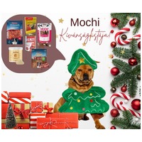 Mochi, 2 éves ivartalanított szuka #8