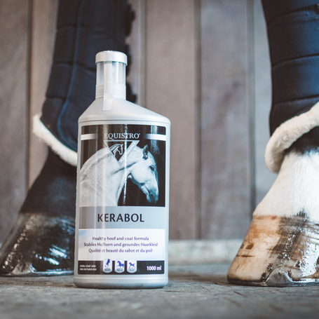 Equistro Kerabol