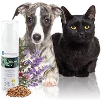 Dermoscent PYOclean Spray