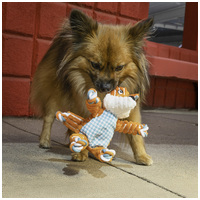 Kong Floppy Knots állatfigurák #10