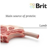 Brit Care Mini Grain Free Puppy Lamb kölyökkutya táp apró tápszemcsékkel #3