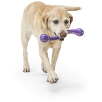 West Paw Zwig apport #10