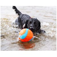 Chuckit! Amphibious Mega Ball - Kétéltű labdajáték #4