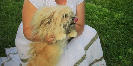 Mitől különleges az ÉN kutyám? Vagyis mitől különleges az én KUTYÁM?