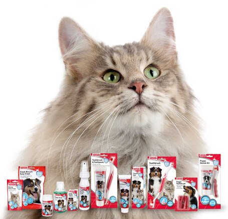 Beaphar Easy Dental Treat macskáknak