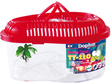 Fauna-box kis kilépő szigettel, azon pálmafával