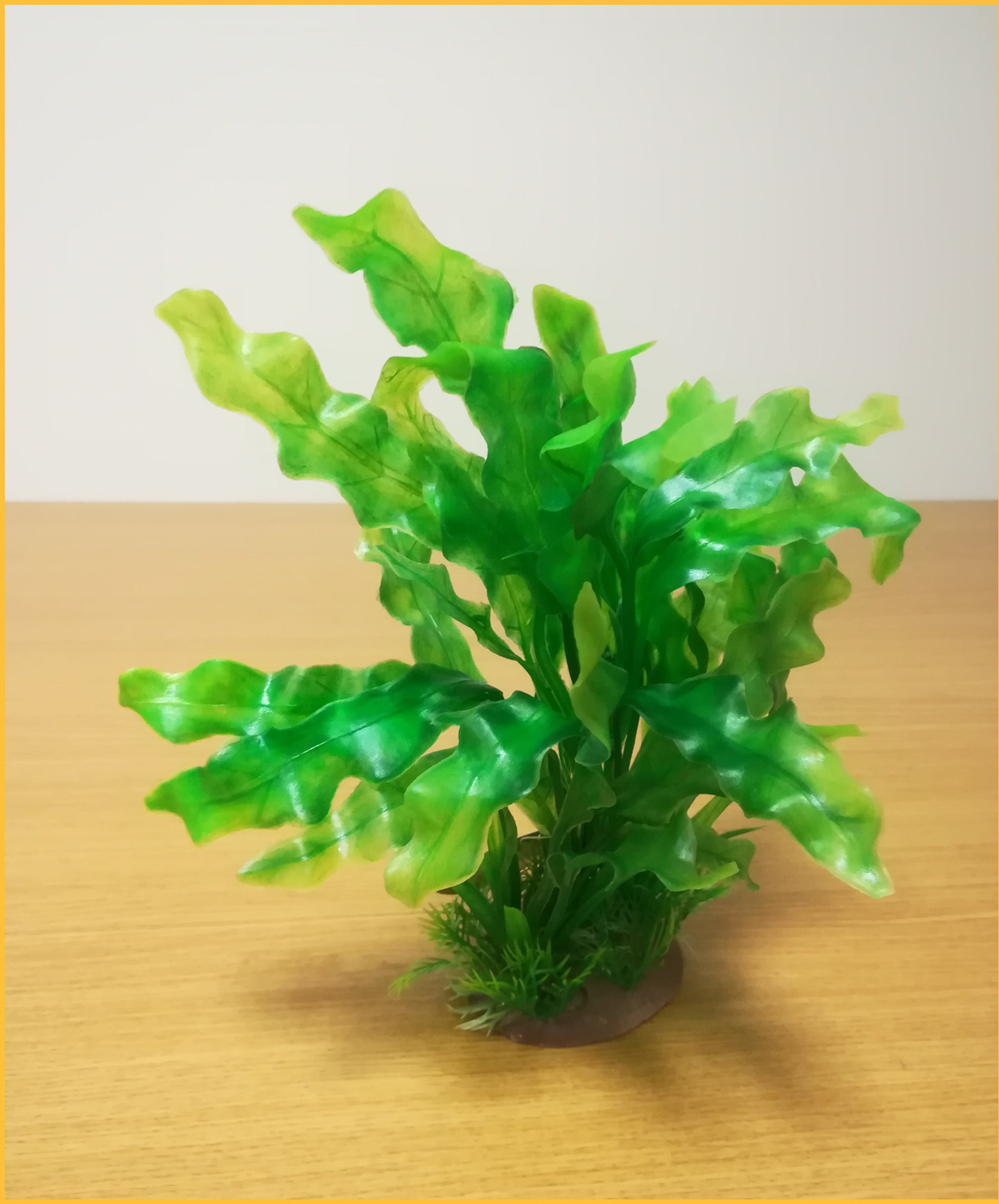 Plantă pentru acvariu cu bază, cu frunze lungi ondulate - zoom