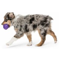 West Paw Rando - Üreges, össze-vissza pattogó labda #6