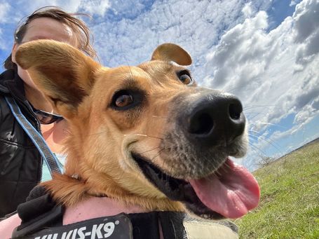 Hajni nem szívbajos csaj és tuti nincs tériszonya :)