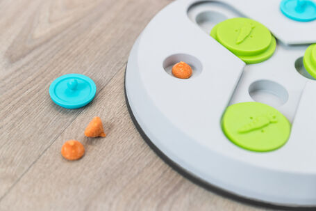 Trixie Slide & Fun Board stratégiai játék rágcsálóknak