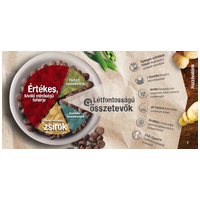 Leonardo Adult GF Salmon lazacos szárazeledel #7