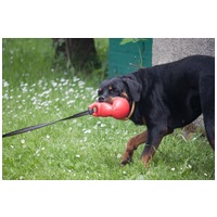 Kong Bounzer kutyajáték #3