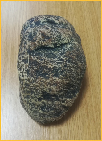 Szikla bújó terráriumi állatoknak