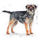 Royal Canin Mini Sterilised - Száraz táp ivartalanított, kistestű felnőtt kutyák részére
