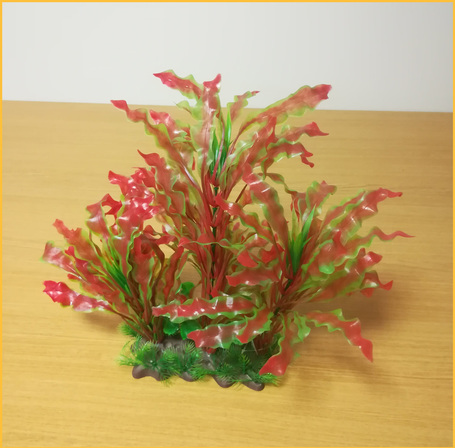 Akváriumi műnövény vöröses árnyalatú hullámos levelekkel (8012)