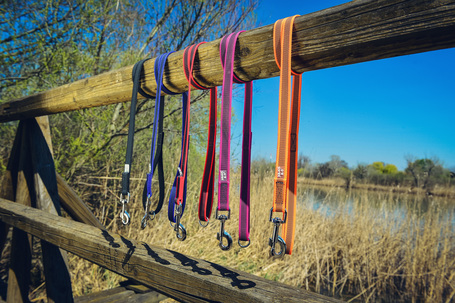 Julius-K9 Color & Gray póráz fogóval