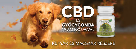 ByOrigin CBD és süngomba tabletta kutyáknak és macskáknak