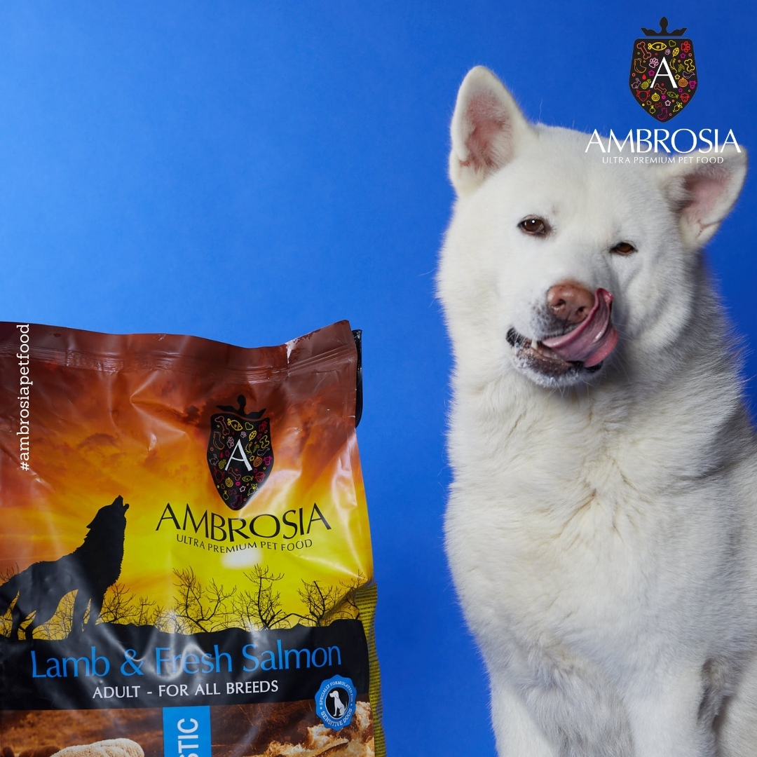 Ambrosia Dog Adult GF Lamb & Fresh Salmon | Hrană pentru câini fără cereale, cu miel și somon proaspăt - zoom