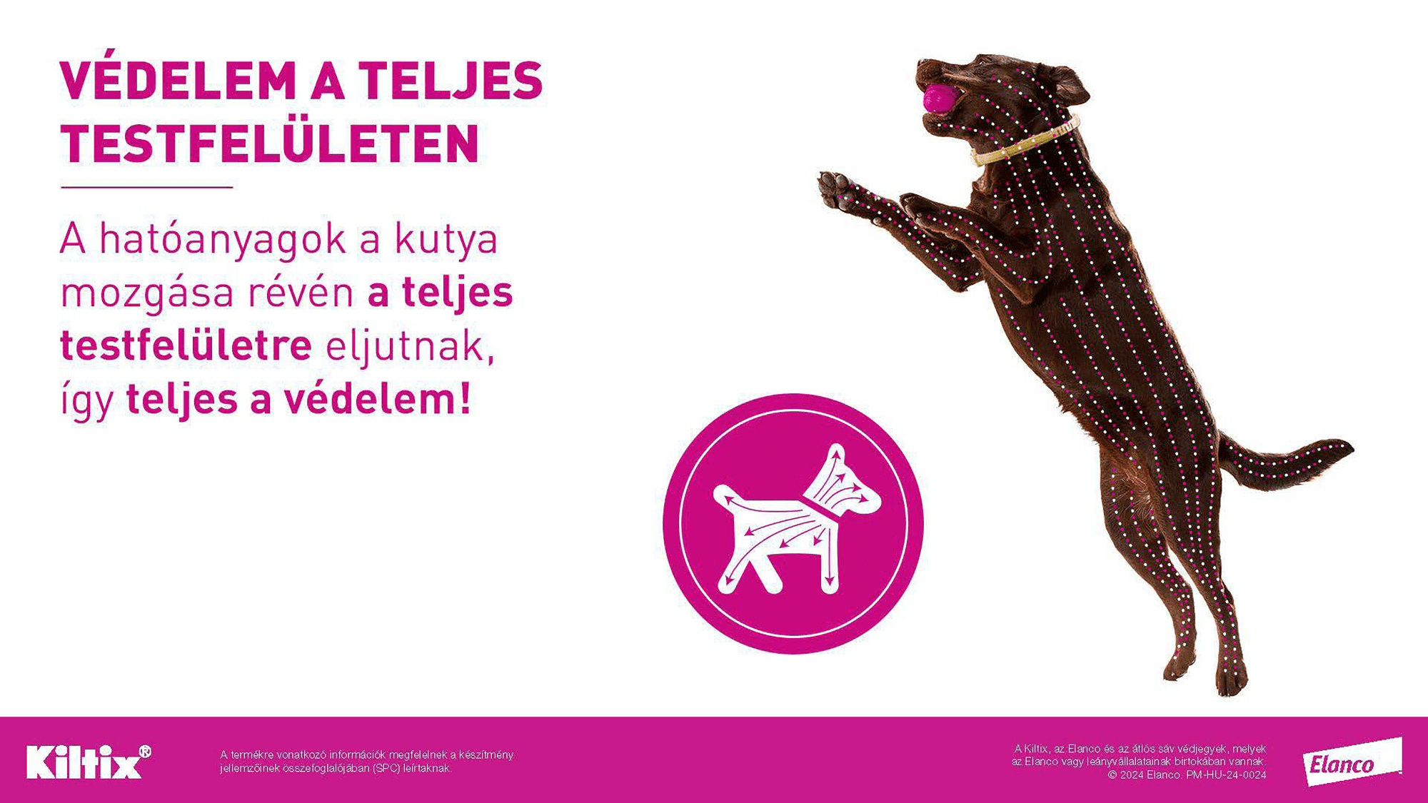 Zgardă Kiltix - zoom