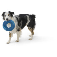 West Paw Seaflex Sailz - Károsanyag-mentes frizbi #6