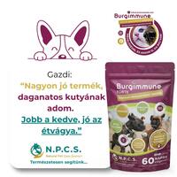 Burgimmune Forte immunerősítő tabletta kutyáknak #10