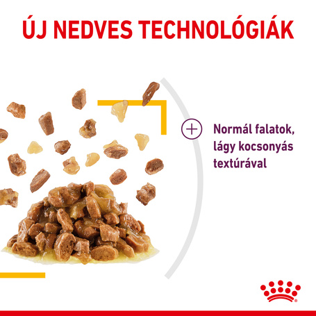 Royal Canin Sensory Taste Jelly - Zselés felnőtt macska nedves táp fokozott íz élménnye