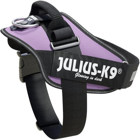 Julius-K9 IDC lila powerhám kutyáknak