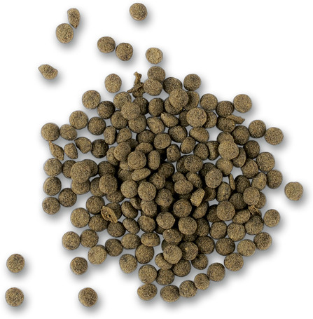 Tetra Cichlid Algae Mini sügértáp