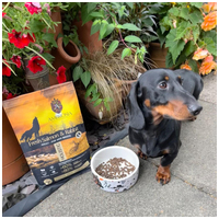 Ambrosia Dog Adult Mini GF Fresh Salmon & Rabbit | Gabonamentes táp kistestű kutyáknak friss lazaccal és nyúlhússal #12