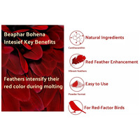 Beaphar Intensief Red #7