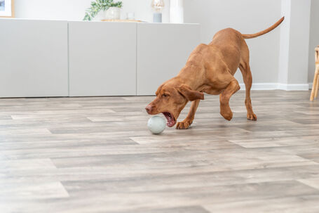 Trixie Dog Activity snack labda