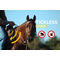 Tickless Horse cu ultrasunete împotriva căpușelor pentru cai/ponei