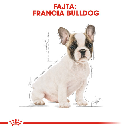 Royal Canin French Bulldog Junior - Francia Bulldog kölyök kutya száraz táp