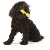 West Paw Hurley - Tartós rágóbot #6