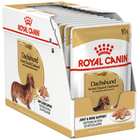 Royal Canin Dachshund Adult - Hrană umedă câini Teckel adult