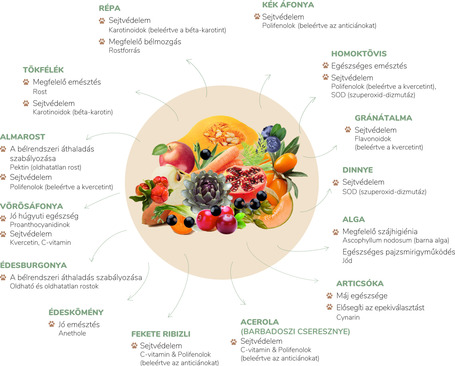 Pro-Nutrition Pure Life Adult 7+ táp idős, idősödő kutyáknak