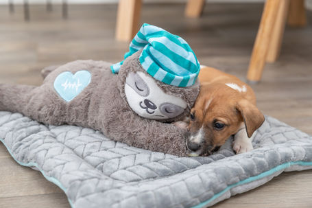 Trixie Junior lajhár szívhanggal kölyökkutyák részére