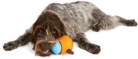 West Paw Toppl - Jutalomfalattal tölthető kutyajáték